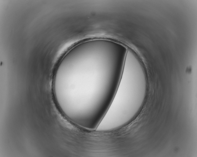 X0000090721416200707201004