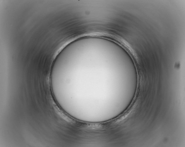 X0000090721417200707201004
