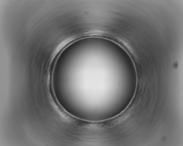 X0000090721418200707201004
