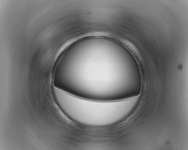 X0000090721420200707201004