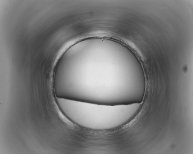 X0000090721421200707201004
