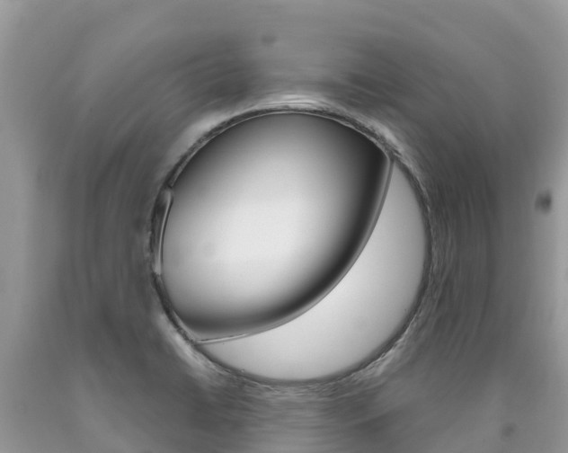 X0000090721422200707201004
