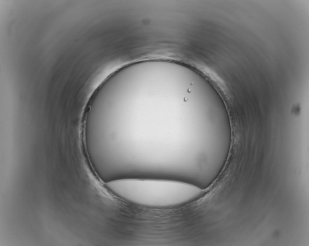 X0000090721423200707201004
