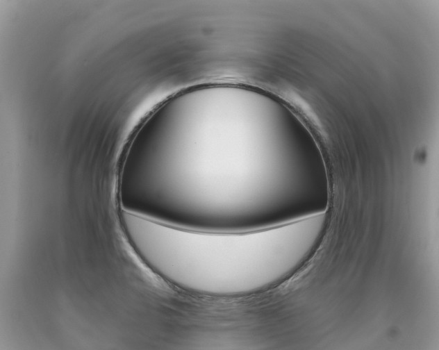 X0000090721424200707201004