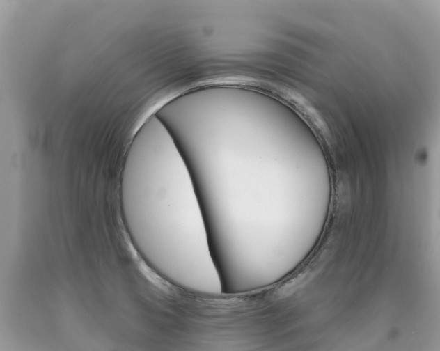 X0000090721425200707201004