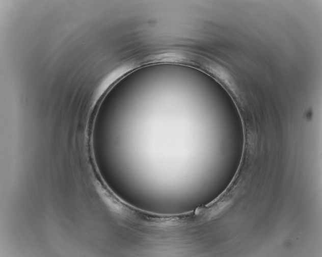 X0000090721426200707201004