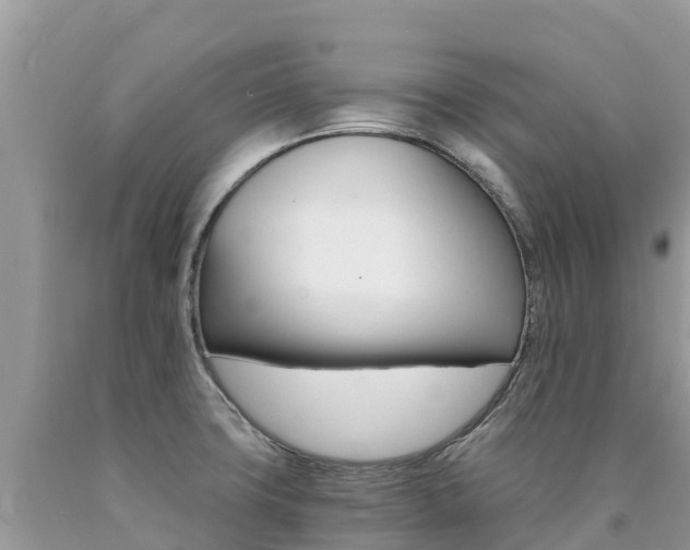 X0000090721427200707201004