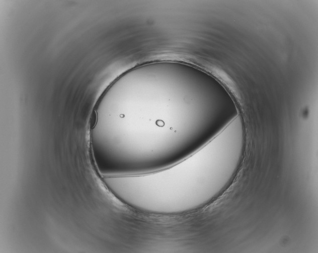X0000090721428200707201004