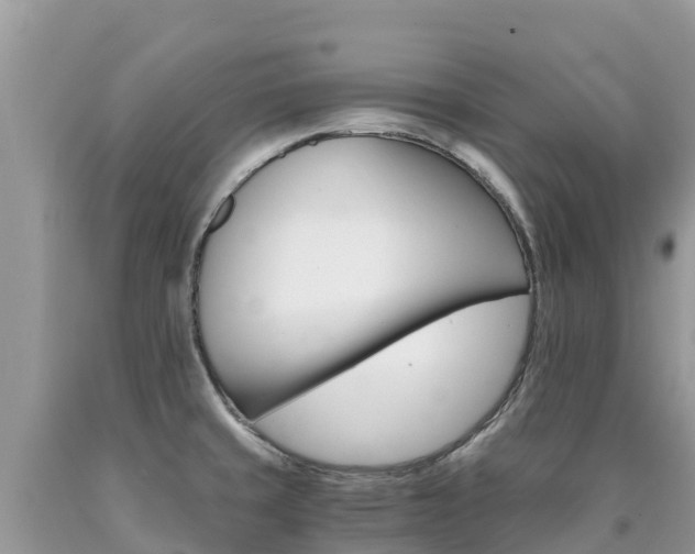 X0000090721429200707201004