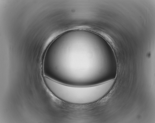 X0000090721430200707201004