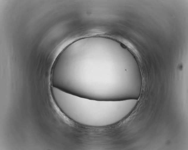 X0000090721431200707201004