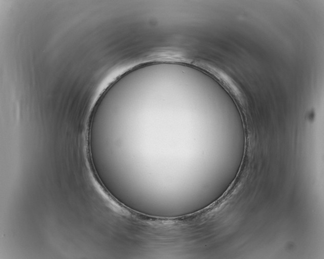 X0000090721432200707201004