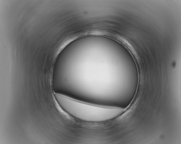 X0000090721433200707201004