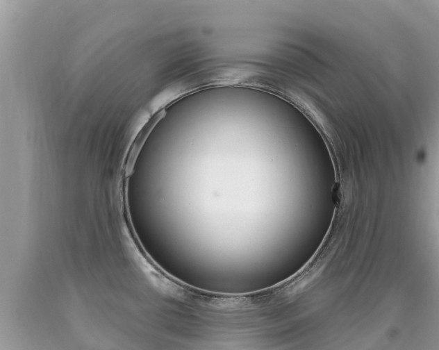X0000090721434200707201004