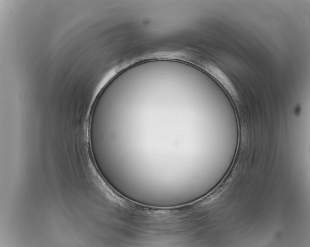 X0000090721436200707201004
