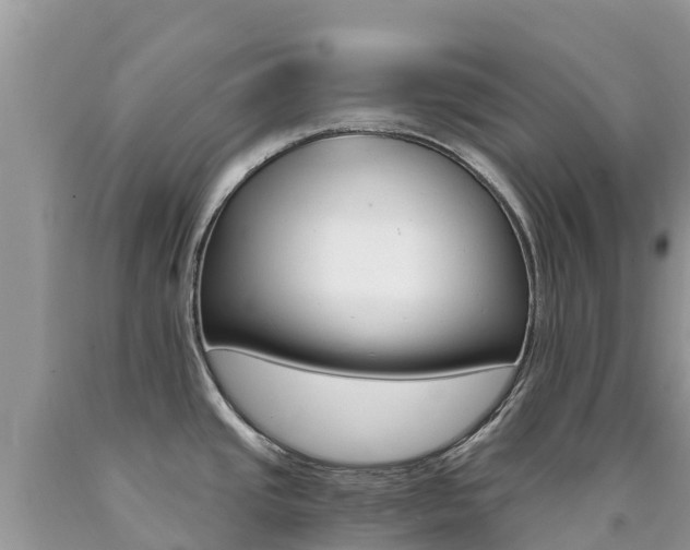 X0000090721437200707201004