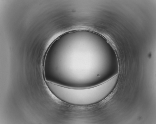 X0000090721438200707201004
