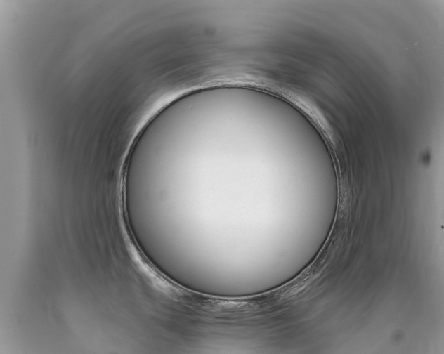 X0000090721439200707201004