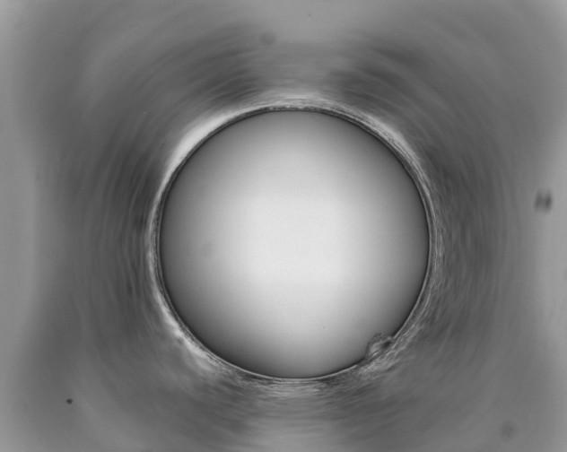 X0000090721440200707201004