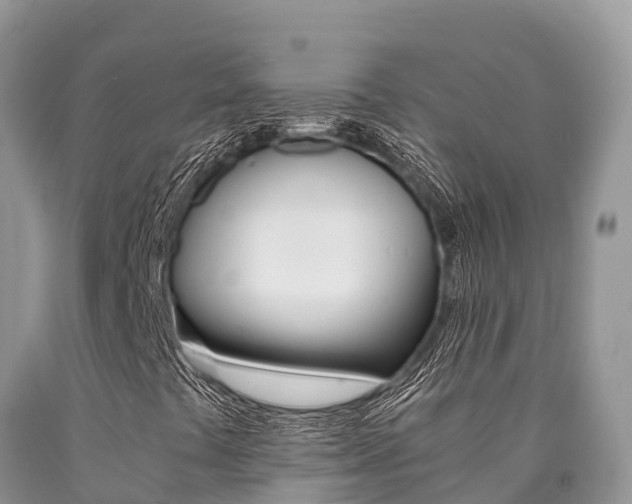 X0000090721441200707201003