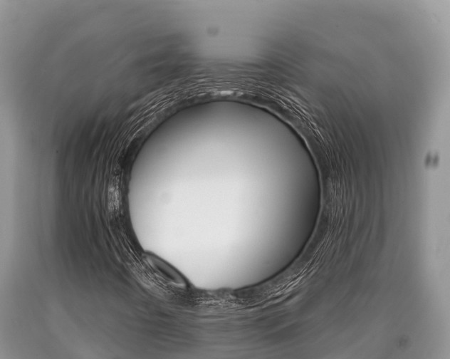 X0000090721442200707201003