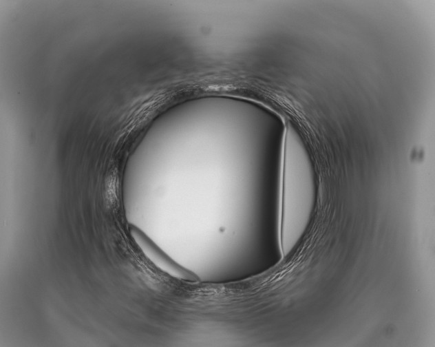 X0000090721444200707201003