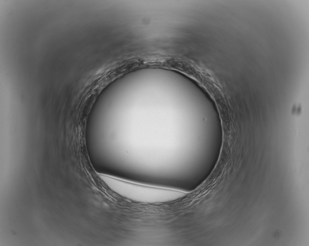 X0000090721445200707201003