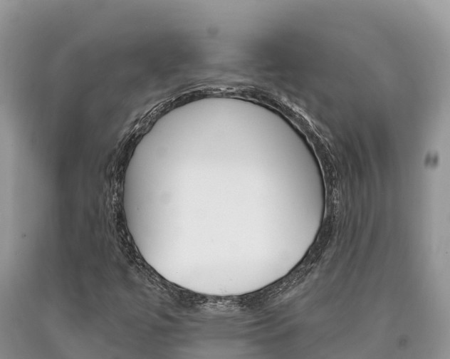 X0000090721447200707201003