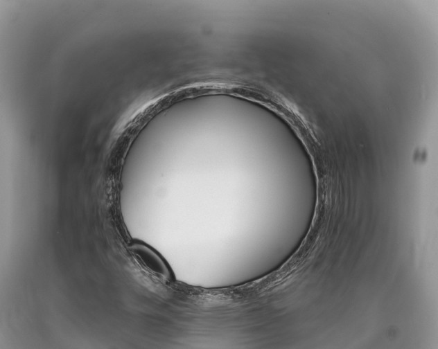 X0000090721448200707201003