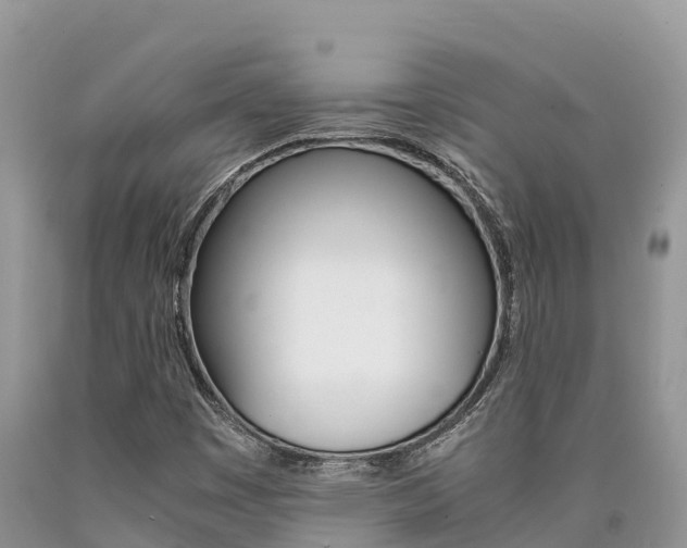 X0000090721449200707201003
