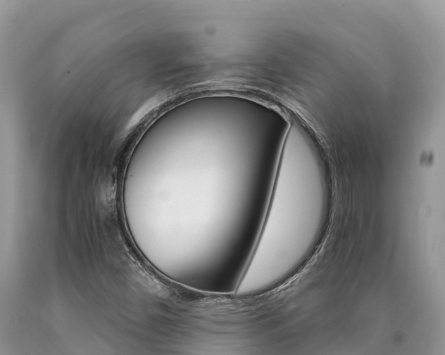 X0000090721450200707201003
