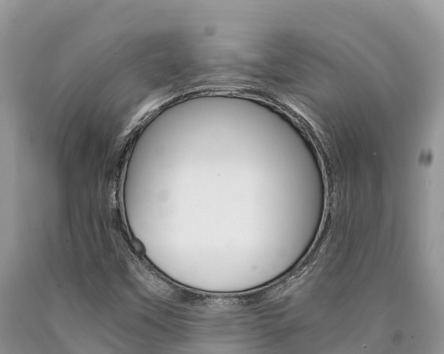 X0000090721451200707201003