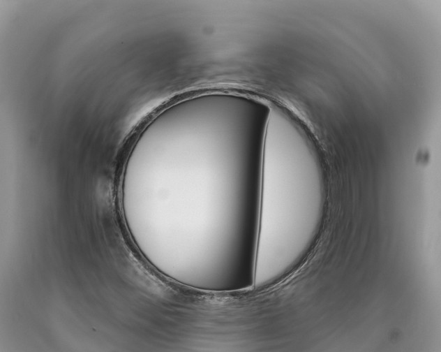 X0000090721452200707201003
