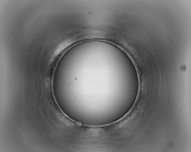 X0000090721453200707201003