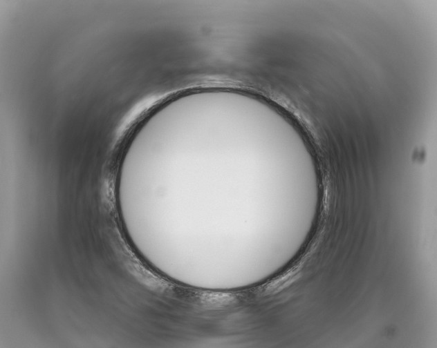 X0000090721454200707201003