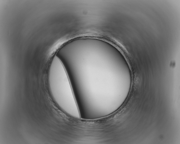 X0000090721455200707201003