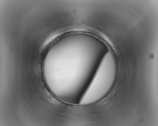X0000090721456200707201003