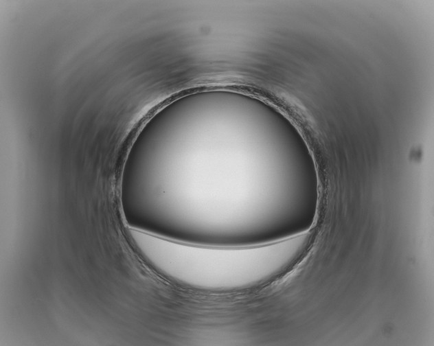 X0000090721457200707201003