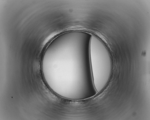 X0000090721458200707201003