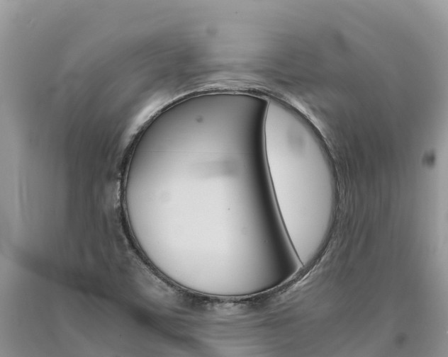 X0000090721459200707201003