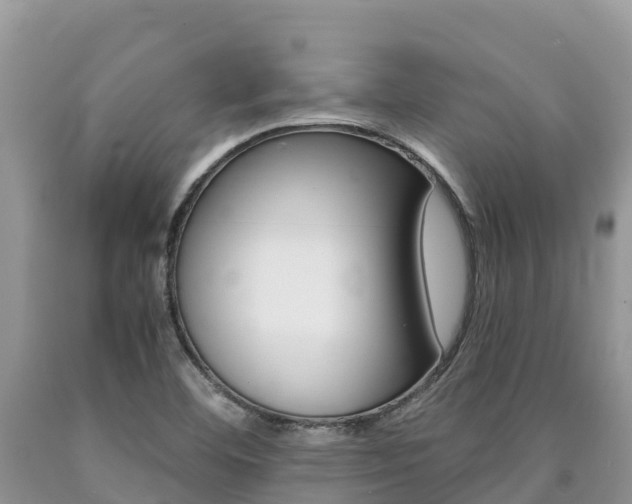 X0000090721460200707201003