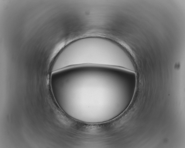 X0000090721461200707201003
