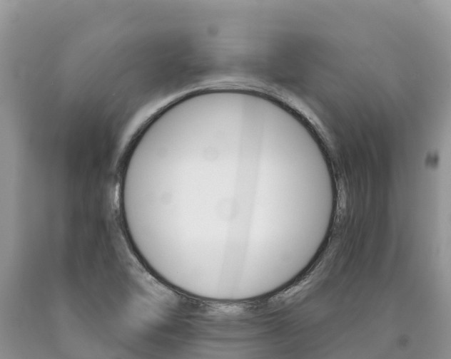 X0000090721462200707201003