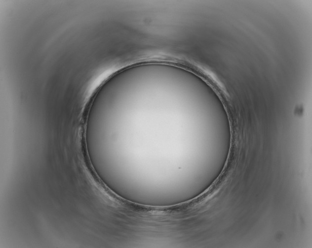 X0000090721463200707201003