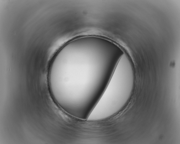 X0000090721464200707201003