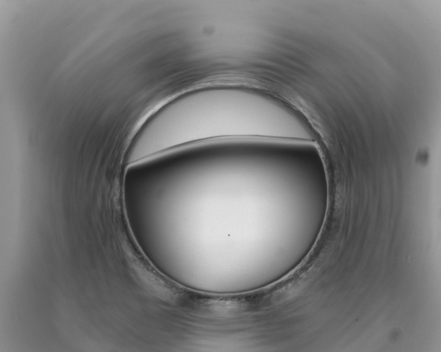 X0000090721465200707201003
