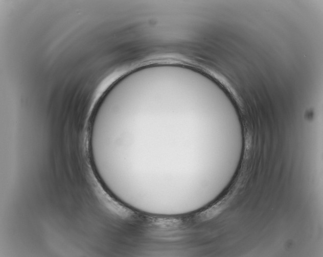 X0000090721466200707201003