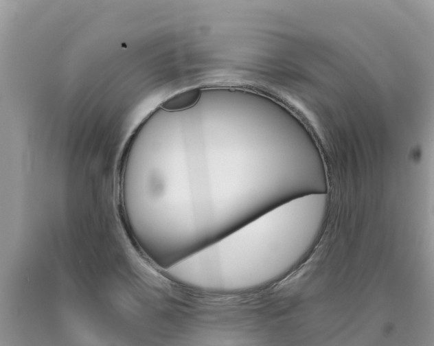X0000090721467200707201003