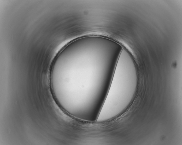 X0000090721468200707201003