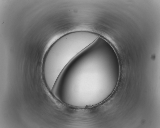 X0000090721469200707201003
